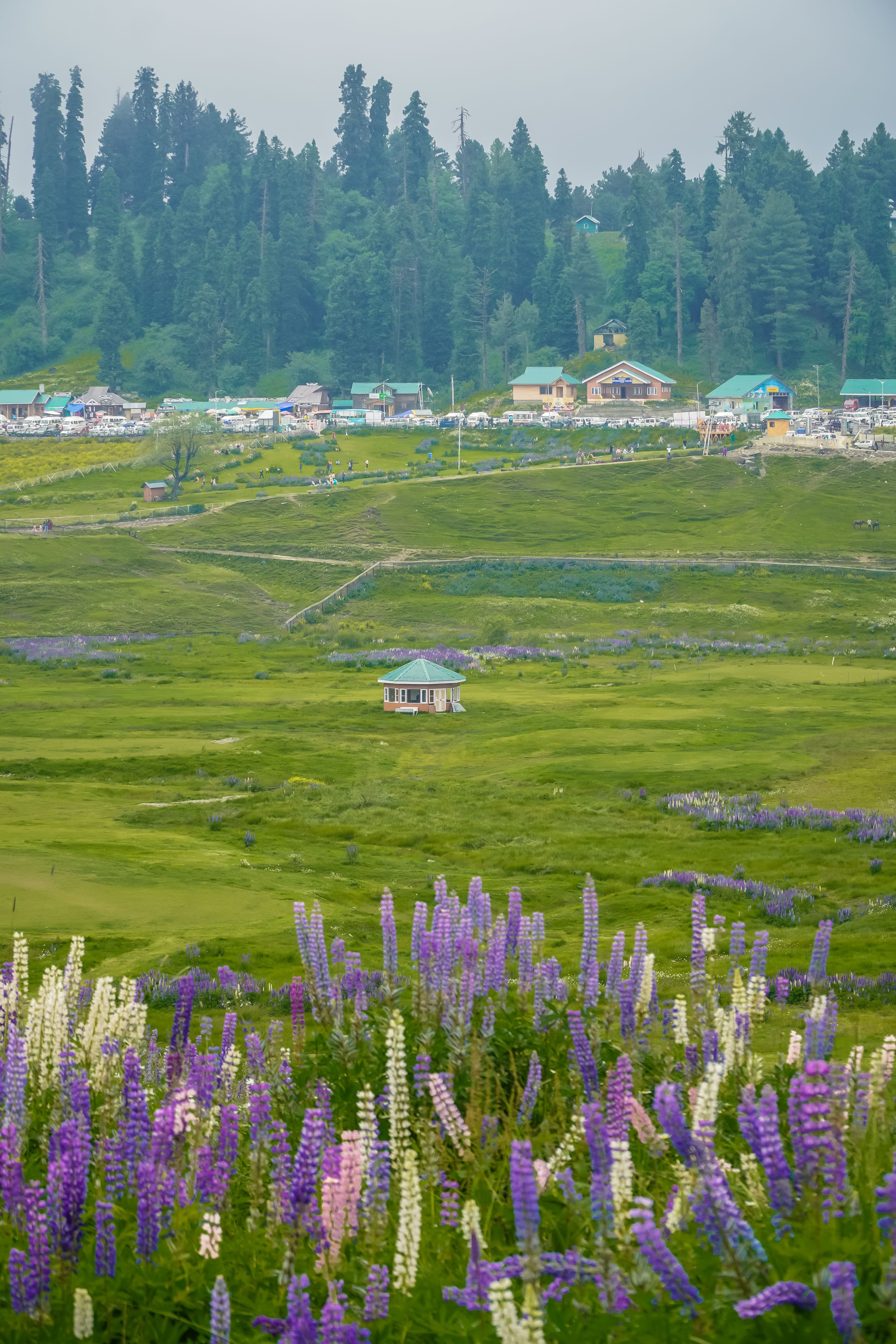 Gulmarg