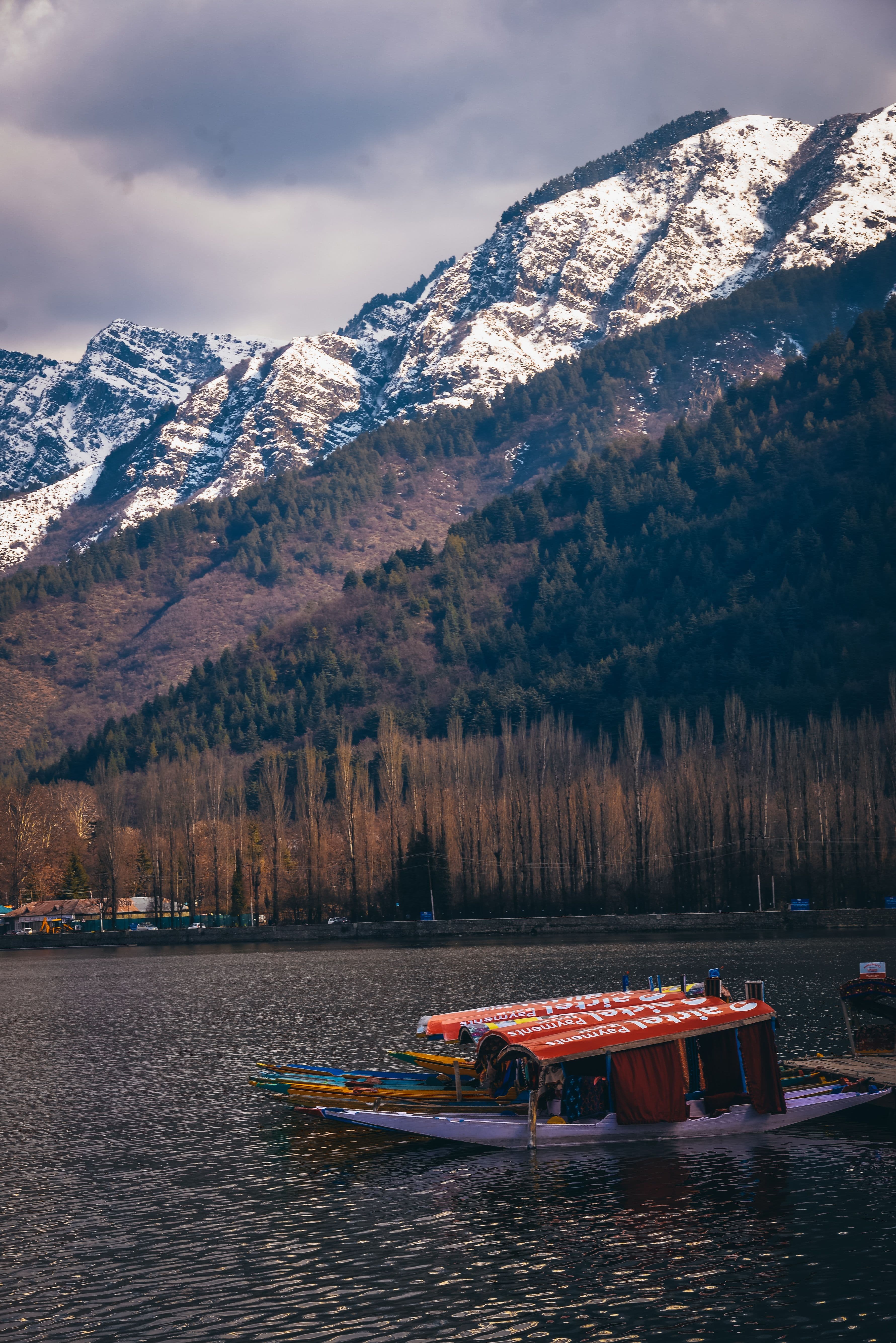 Srinagar